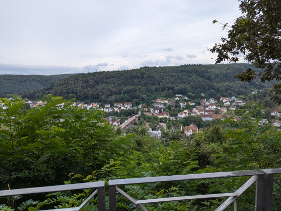 Teilstück Rodalber Felsenweg
15. August 2024 